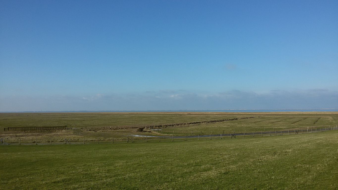 Im Hintergrund die Insel Baltrum
